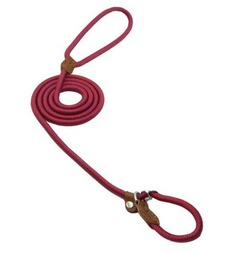 Nylon Pup Lead