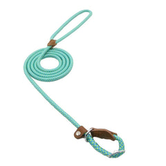 Nylon Pup Lead